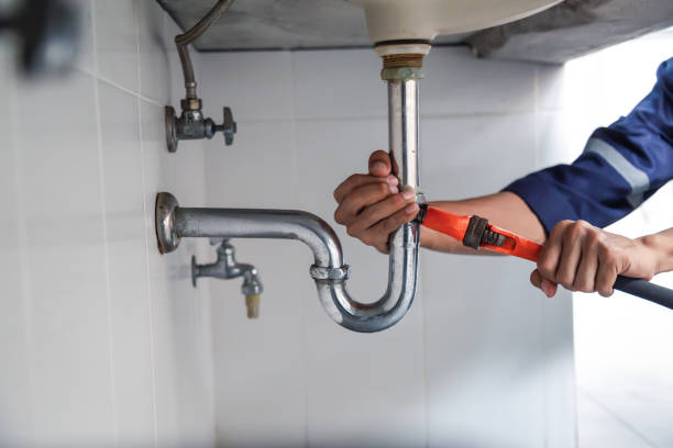 Best Plumbing Inspection Services  in North Kingsville, OH