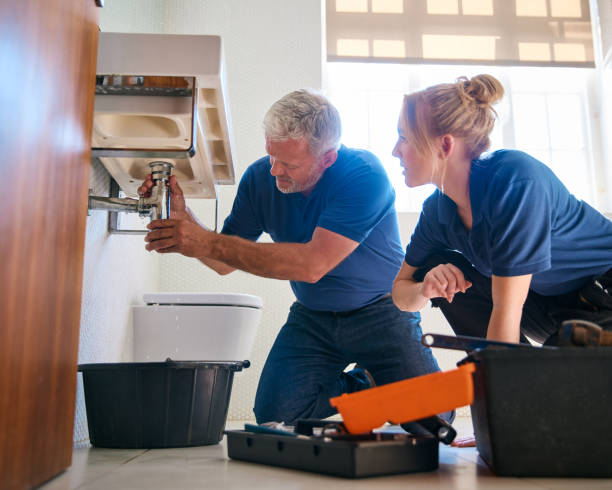 Best Affordable Plumbing Services  in North Kingsville, OH